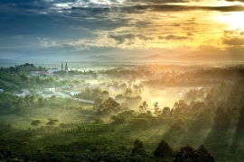 dau tu dat lam dong   vi sao gioi dau tu do xo ve vung cao nguyen